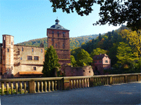 Heidelberg-Rainer-Sturm